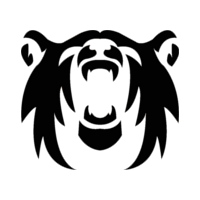 Polar Squad Esports