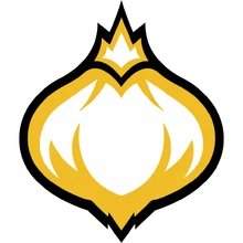 Onion Team