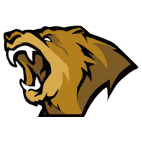 Lynn Vision Gaming