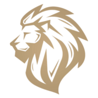 Lyon Gaming
