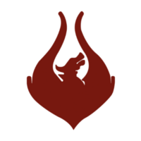 Team Phoenix