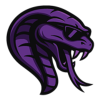 Team Cobra